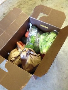 A CSA box is packed and ready to be delivered to a drop off spot in San Diego Countyi
