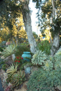 Teal pot as garden architecture