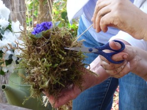 Heather uses a scissors to trim excess twine and tidy up the sphagnum moss