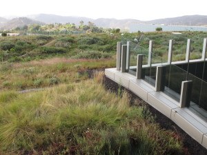 Palomar Medical Center Green roof rolls to emulate the surrounding hills