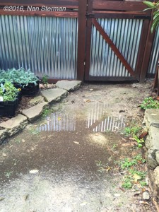 Watch for low spots where water pools when it rains. If it stands longer than a day or two, it's a problem