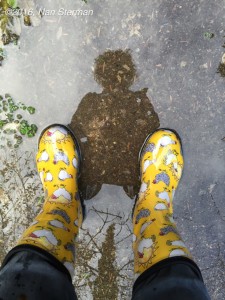 Nan tests her new yellow Sloggers chicken rainboots. Yeah! Dry feet!