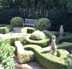 Different colored foliage are the key to creating formal knot gardens. 