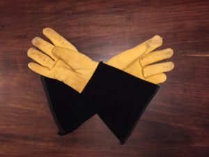 Gloves for catching hawks