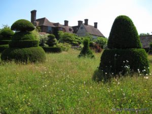 Topiary, wild grasses and wildflowers are home to insect pollinators at England's Great Dixter garden