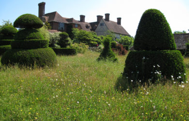Topiary, wild grasses and wildflowers are home to insect pollinators at England's Great Dixter garden