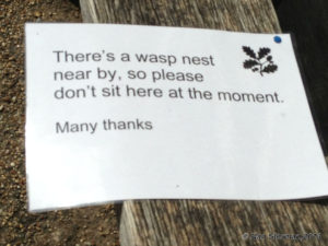 Wasp nest at Sissinghurst Castle in England